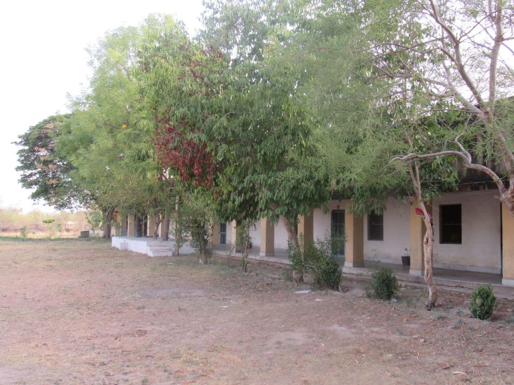 Maharana Pratap Government Post Graduate College Chittorgarh-image