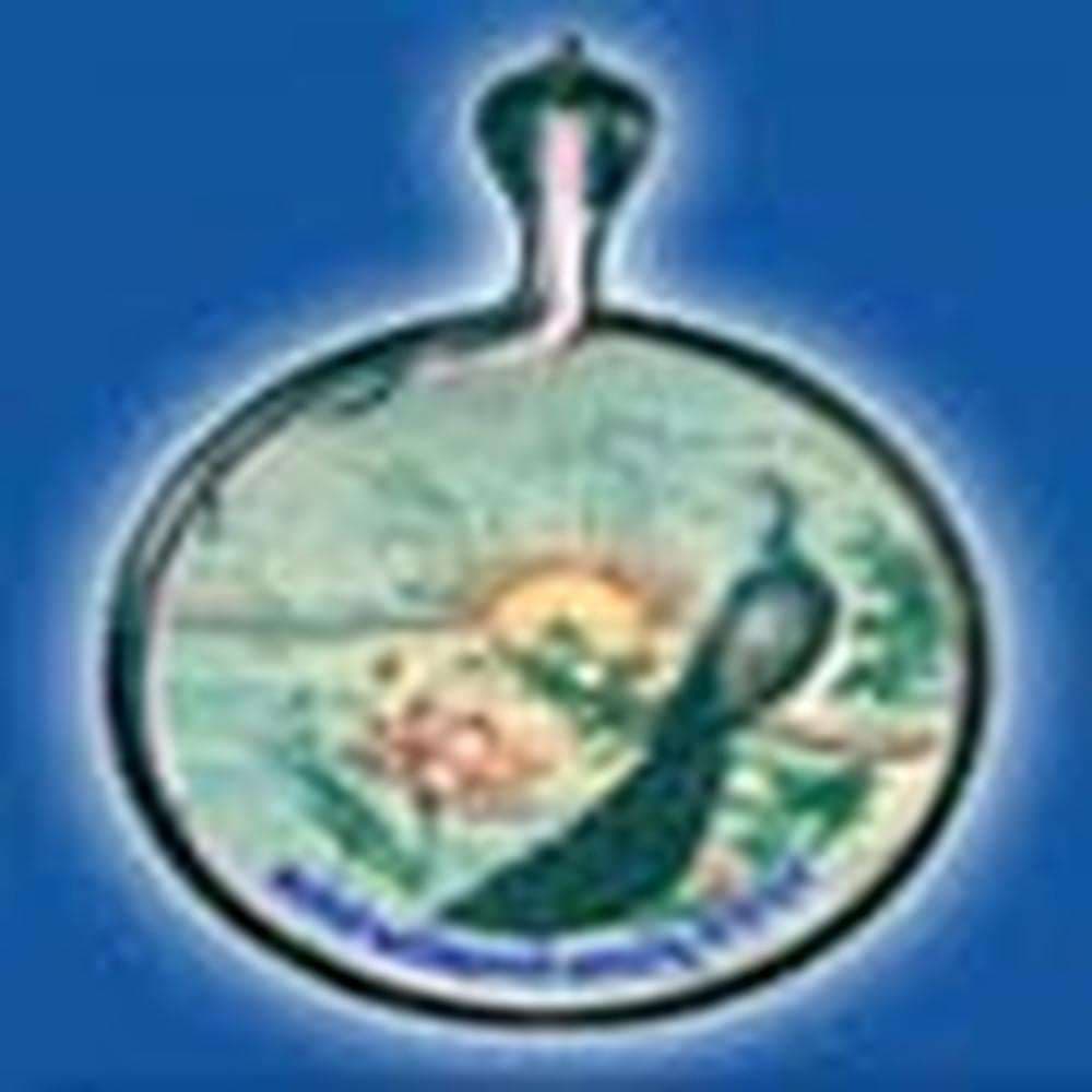 VBRI Udaipur-logo