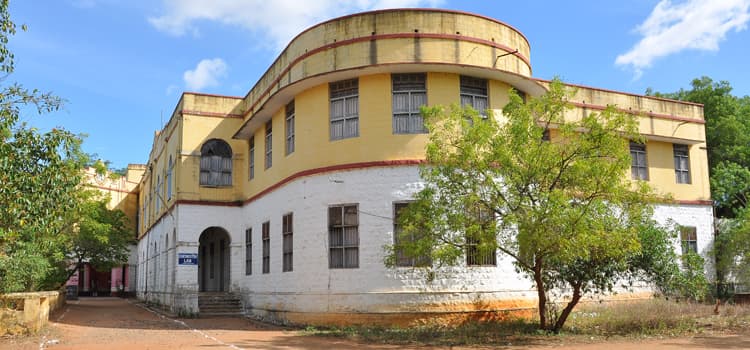 Madurai Diraviyam Thayumanavar Hindu College-image