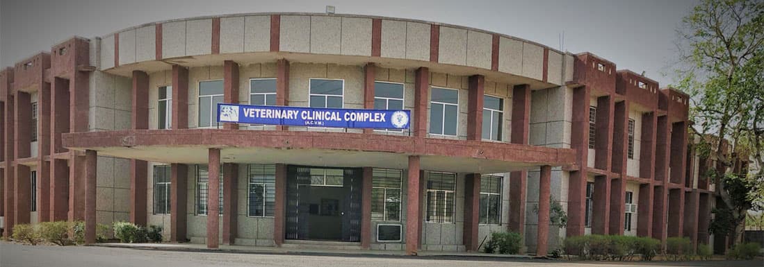 Apollo College of Veterinary Medicine-gallery-image-2