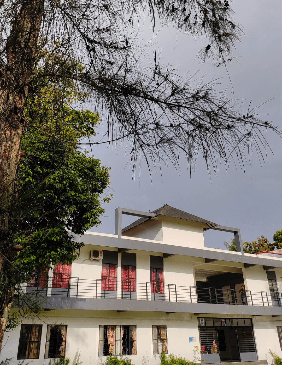 MSNPIMT-gallery-image-3