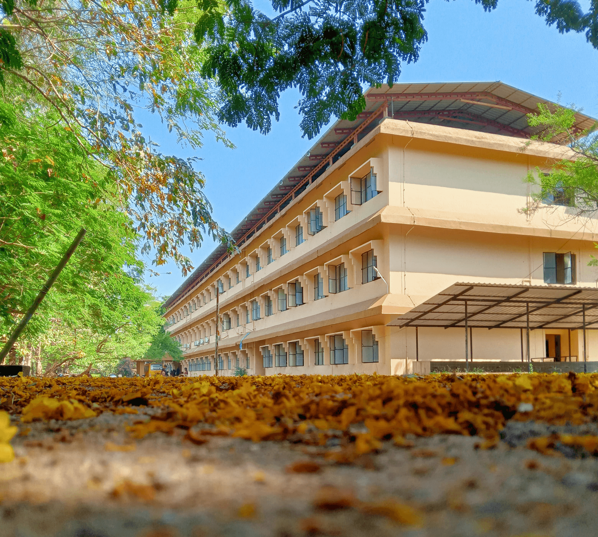 EKNM Government College-image