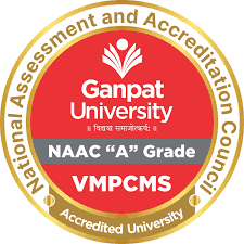 V. M. Patel College of Management Studies-logo