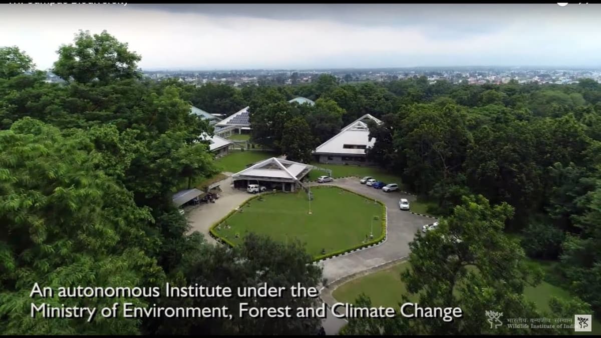 WII Dehradun-gallery-image-1