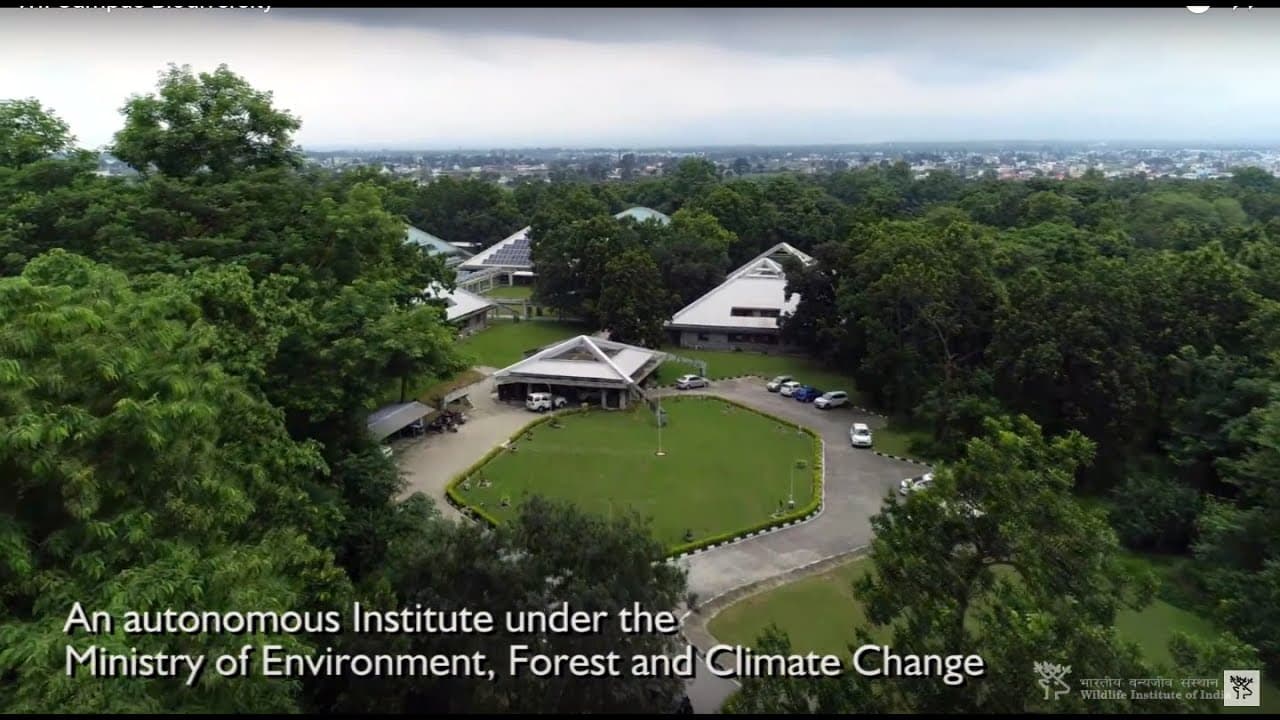 Wildlife Institute of India-image