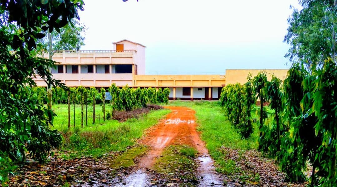 Chatra Ramai Pandit Mahavidyalaya-image