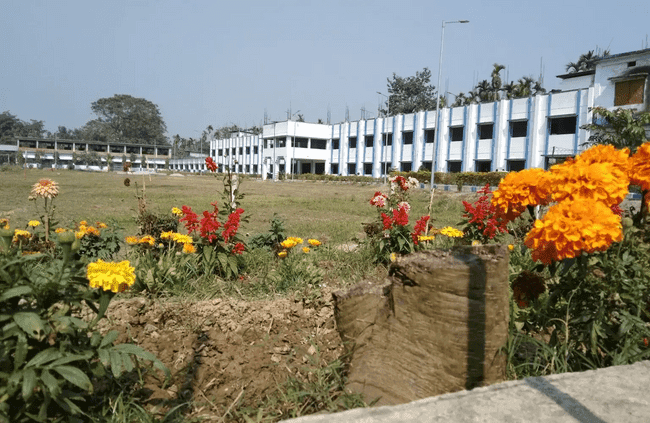Birpara College-image