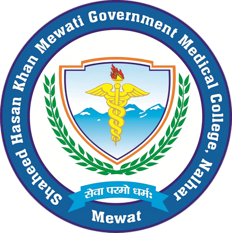 Shaheed Hasan Khan Mewati Government Medical College Nalhar-logo