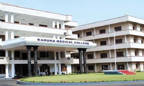 Karuna College of Pharmacy-image
