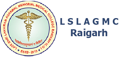 GMC Raigarh-logo