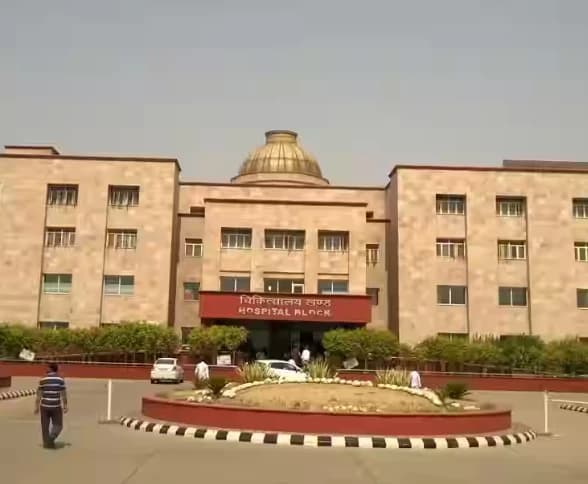 Ch. Brahm Prakash Ayurved Charak Sansthan New Delhi-image