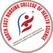 North East Nursing College of Health Sciences-logo