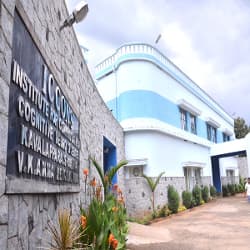 Institute for Communicative and Cognitive Neuro Sciences Kavalappara-image