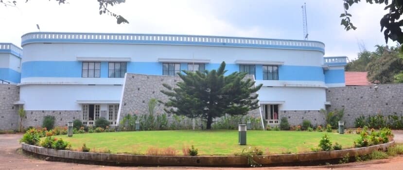 Institute for Communicative and Cognitive Neurosciences-image