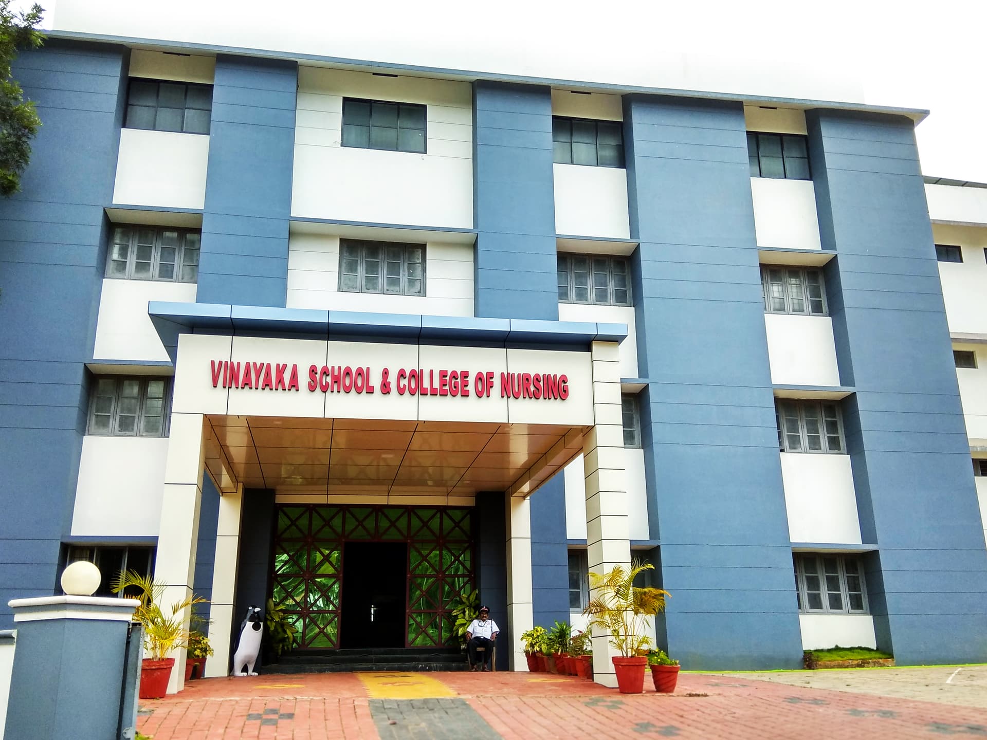 Vinayaka College and School of Nursing-logo