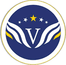 VSM Institute of Technology-logo