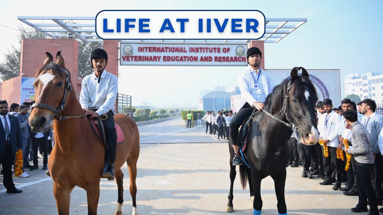 IIVER Rohtak-image