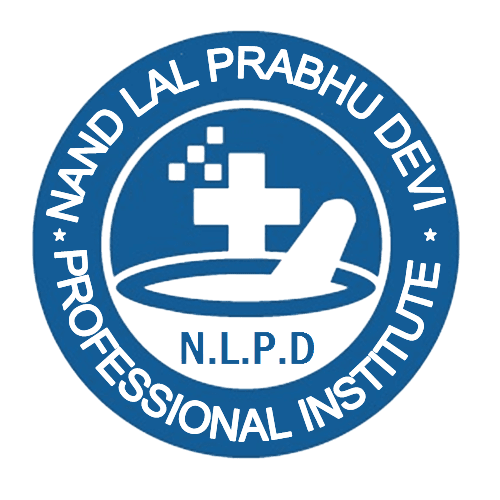 Nandlal Prabhu Devi Professional Institute-logo