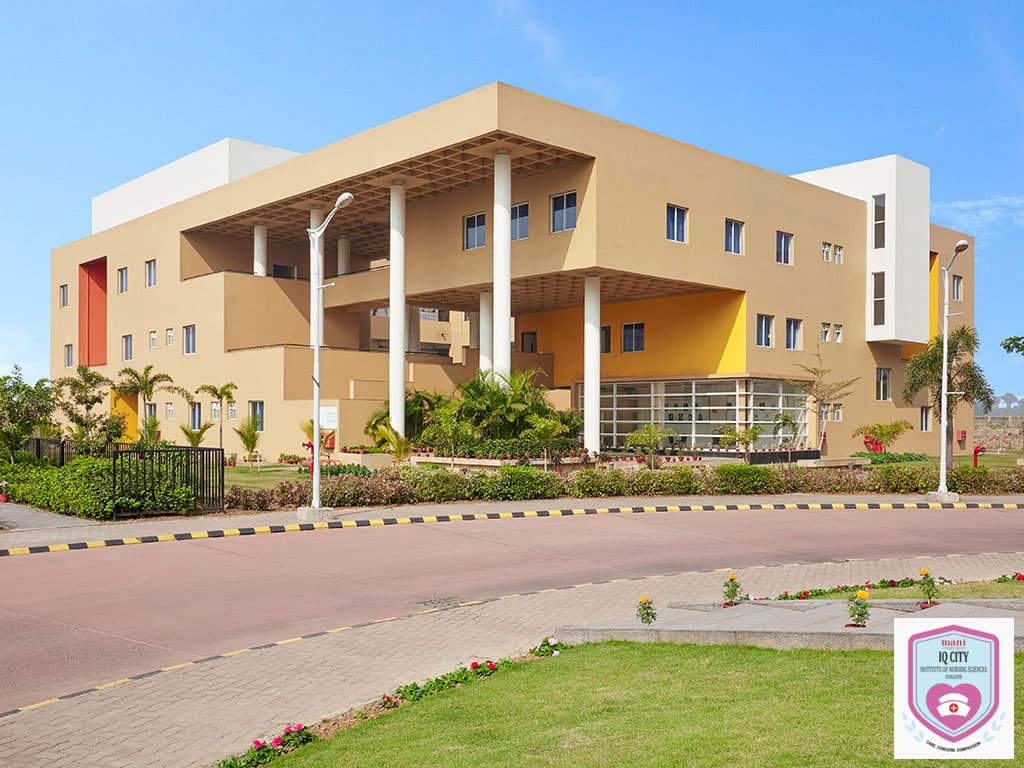 IQ City Nursing Sciences-gallery-image-2