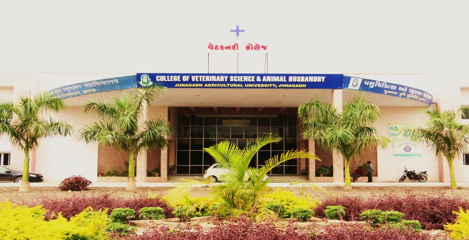 College of Veterinary Science & Animal Husbandry Junagadh-image