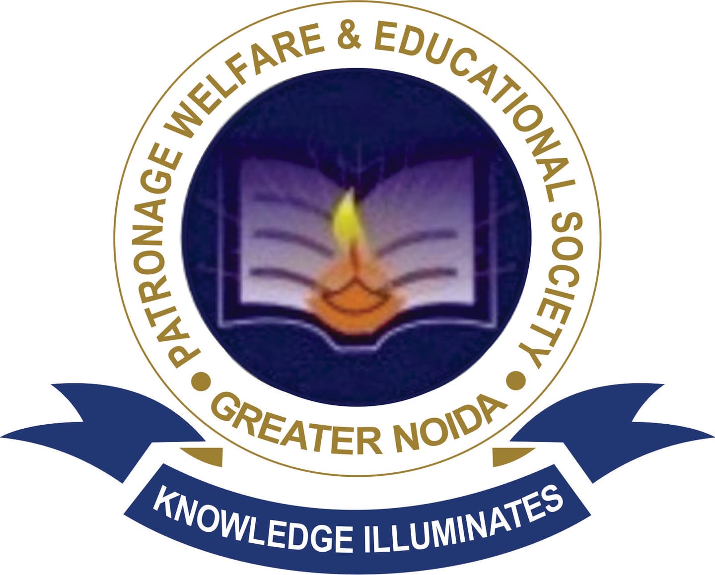 Patronage institute of professional studies-logo