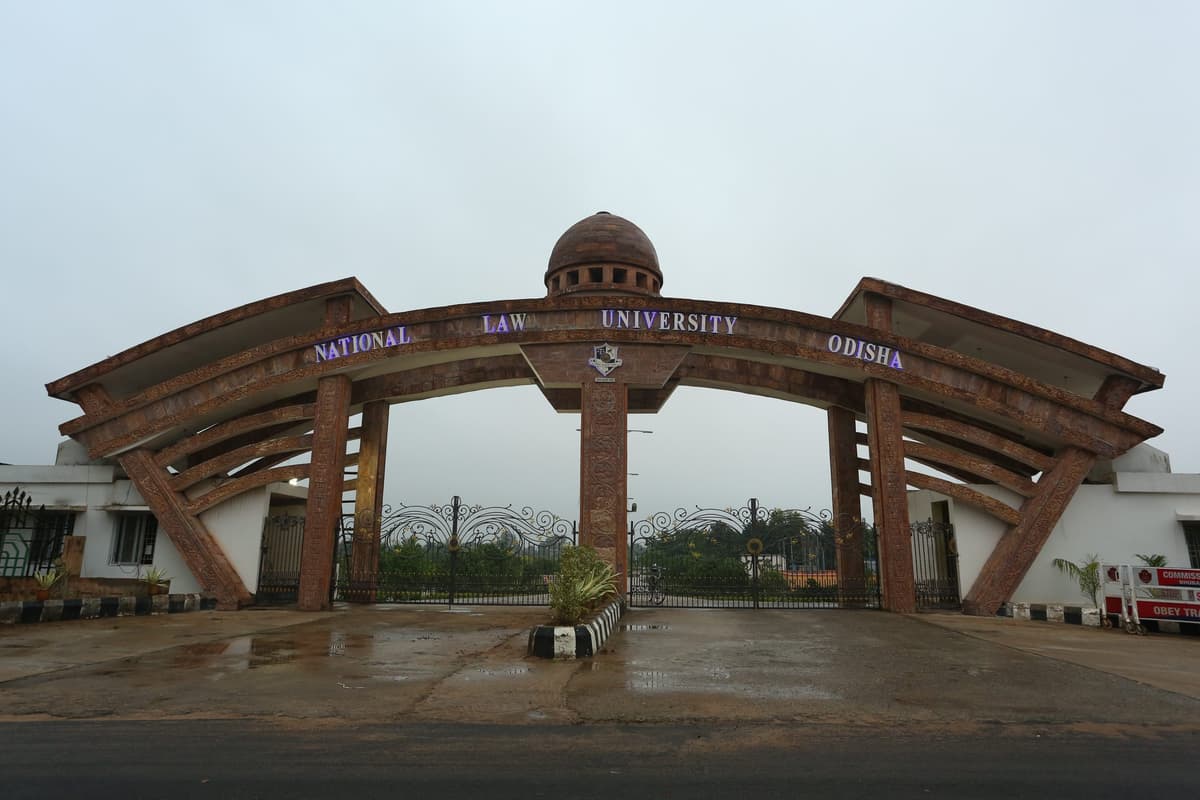 NLUO-gallery-image-1