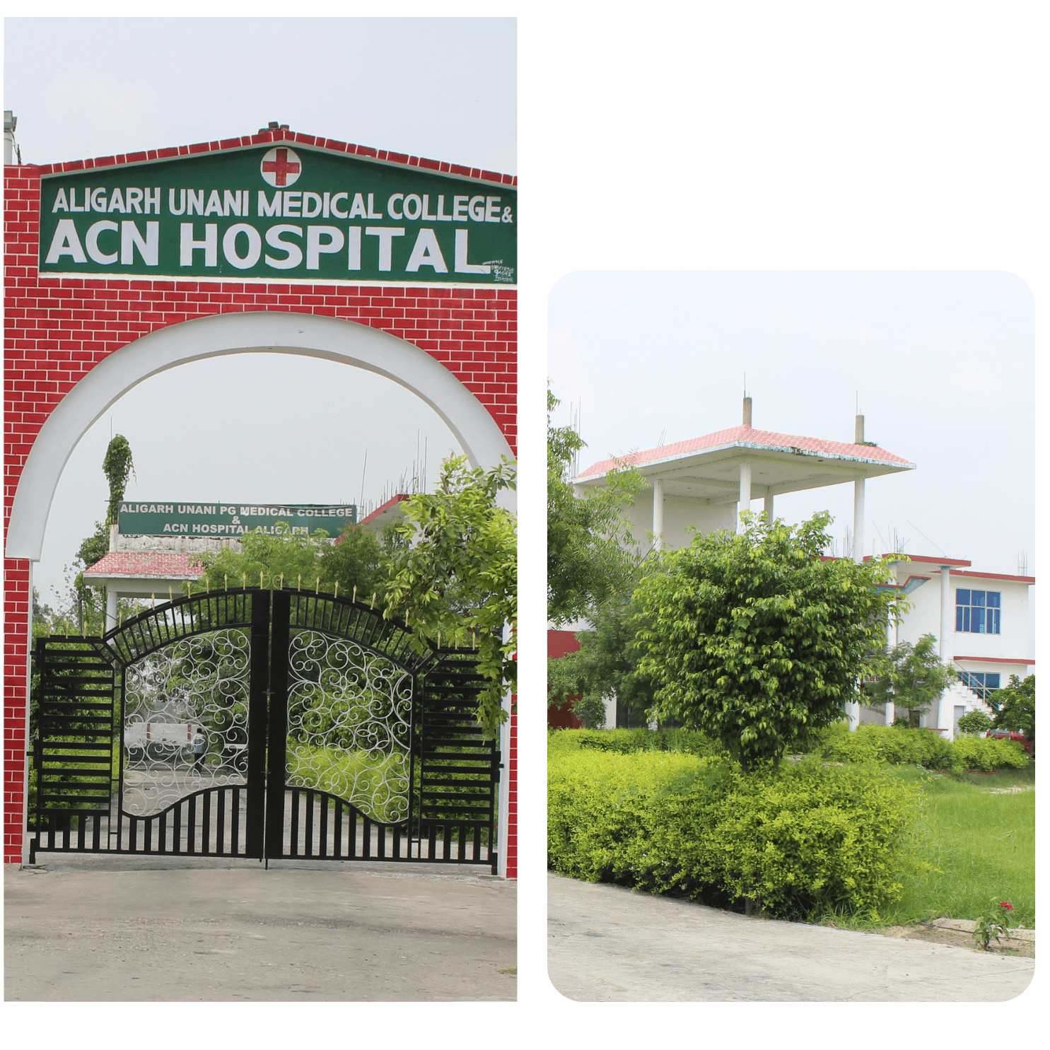 A U A Medical College Aligarh-image