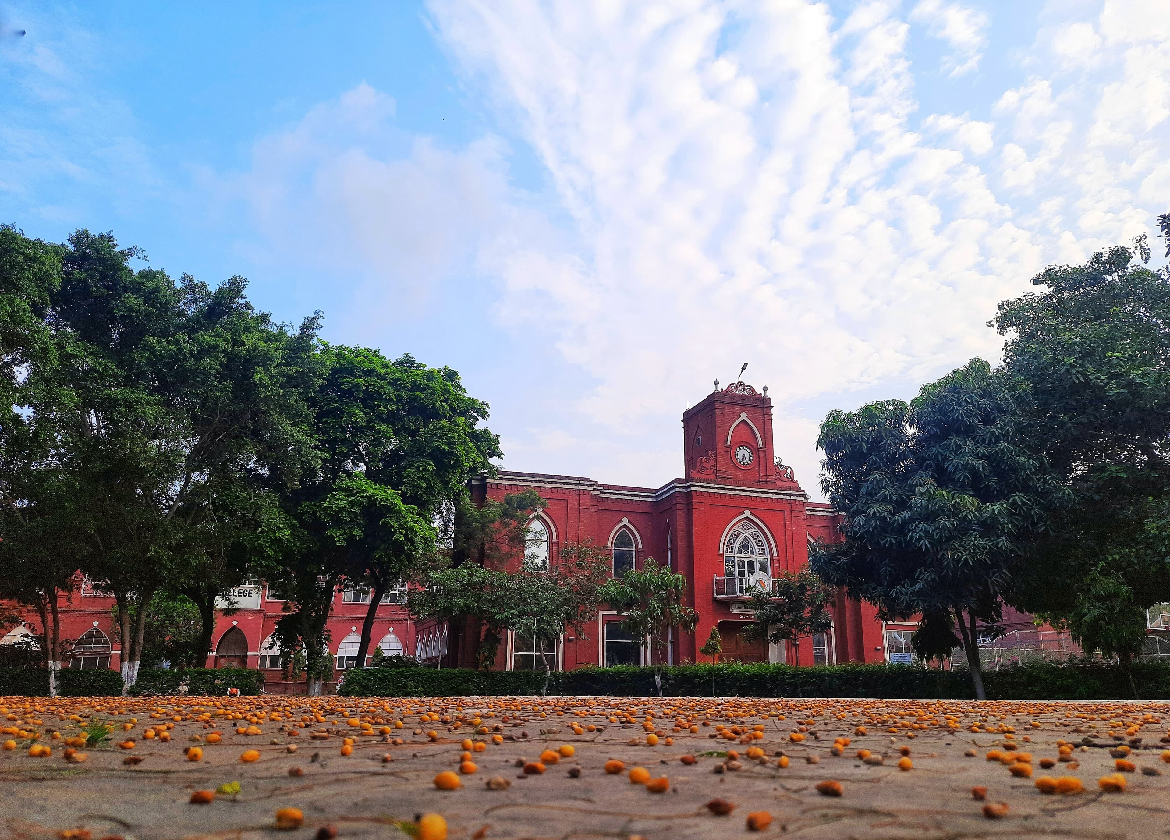 CMC Ludhiana-image