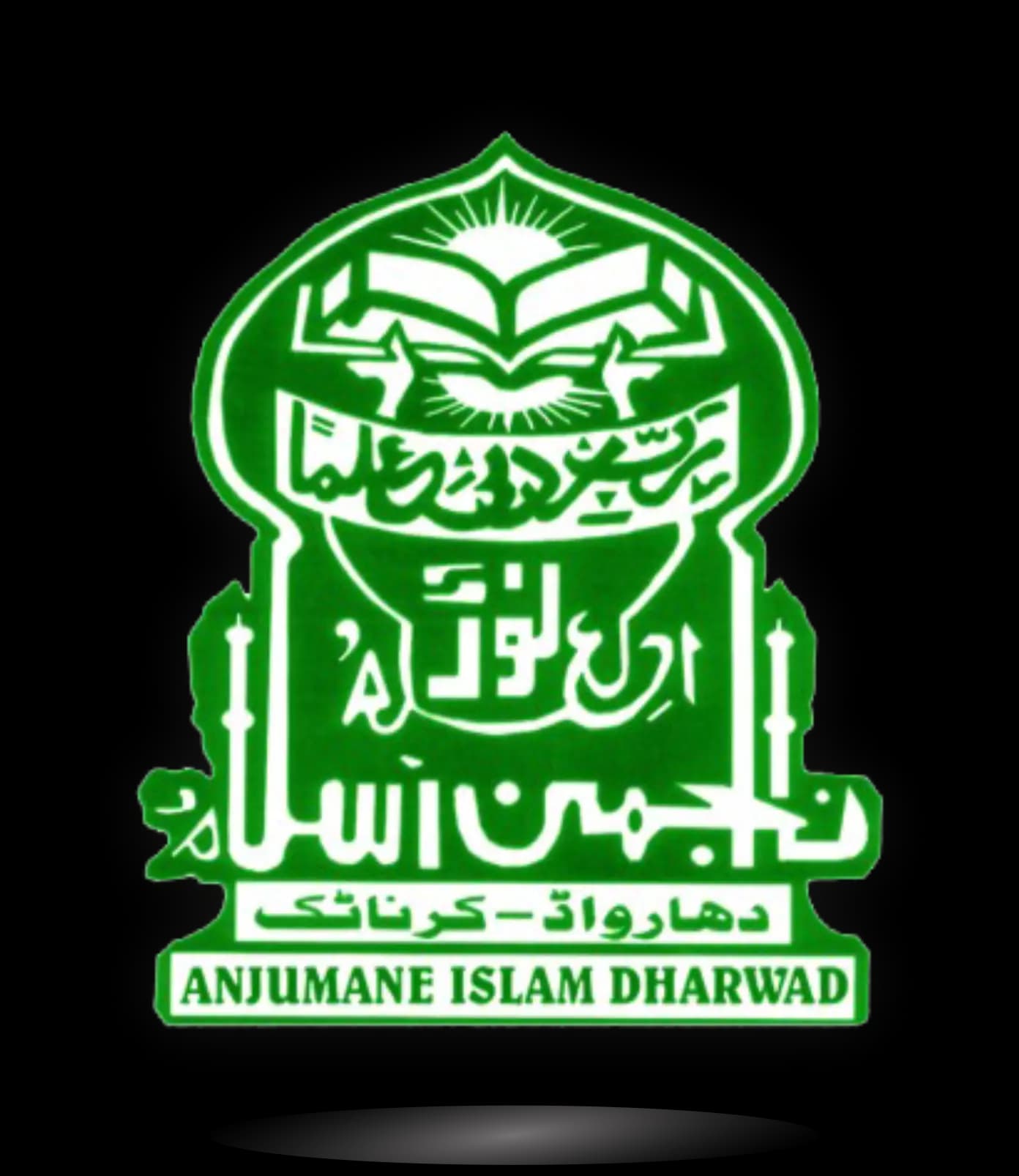 Anjuman Institute of Information Science and Management-logo