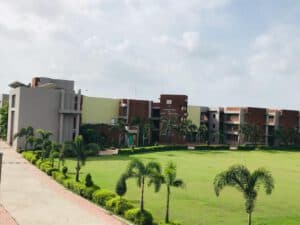 SES Group Surat-image