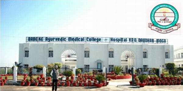 TMAES AMC-gallery-image-2