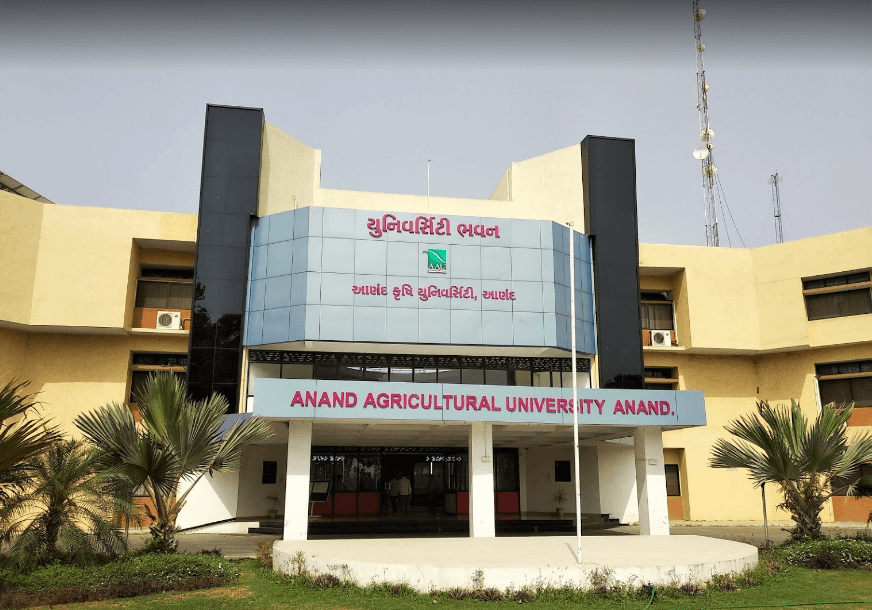 AAU Anand-image