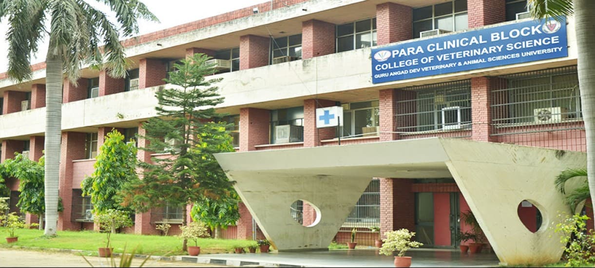 Guru Angad Dev Veterinary and Animal Sciences University-image