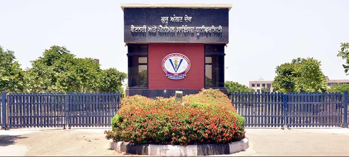 GADVASU-gallery-image-2