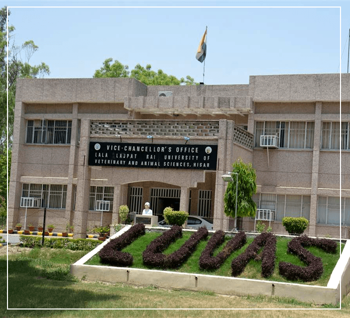 Lala Lajpat Rai University of Veterinary and Animal Sciences-image