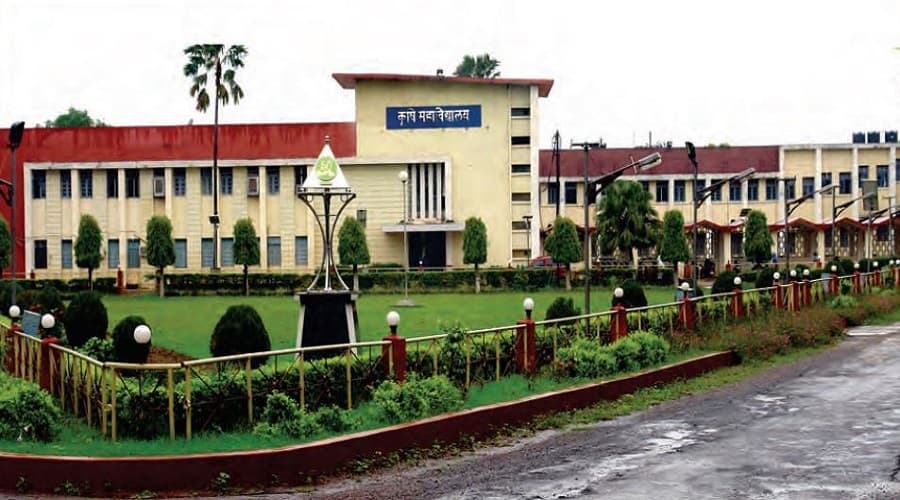 IGKV Raipur-image