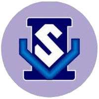 Vidya Sagar Infotech College-logo