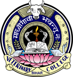 BVC Patna-logo