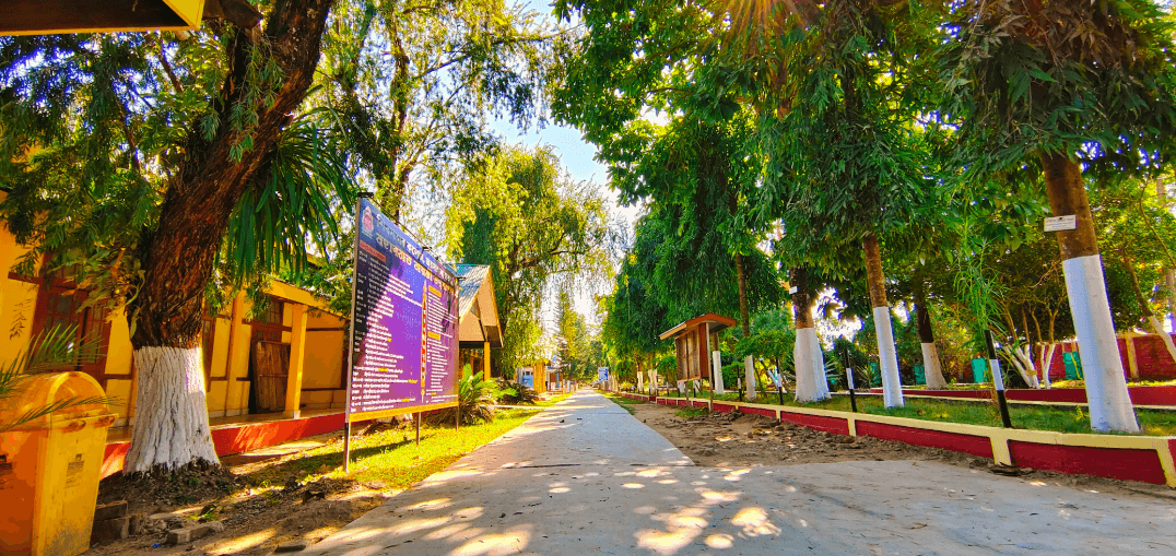 Sibsagar University-image