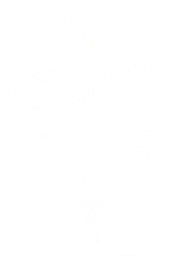 DM College of Science-logo