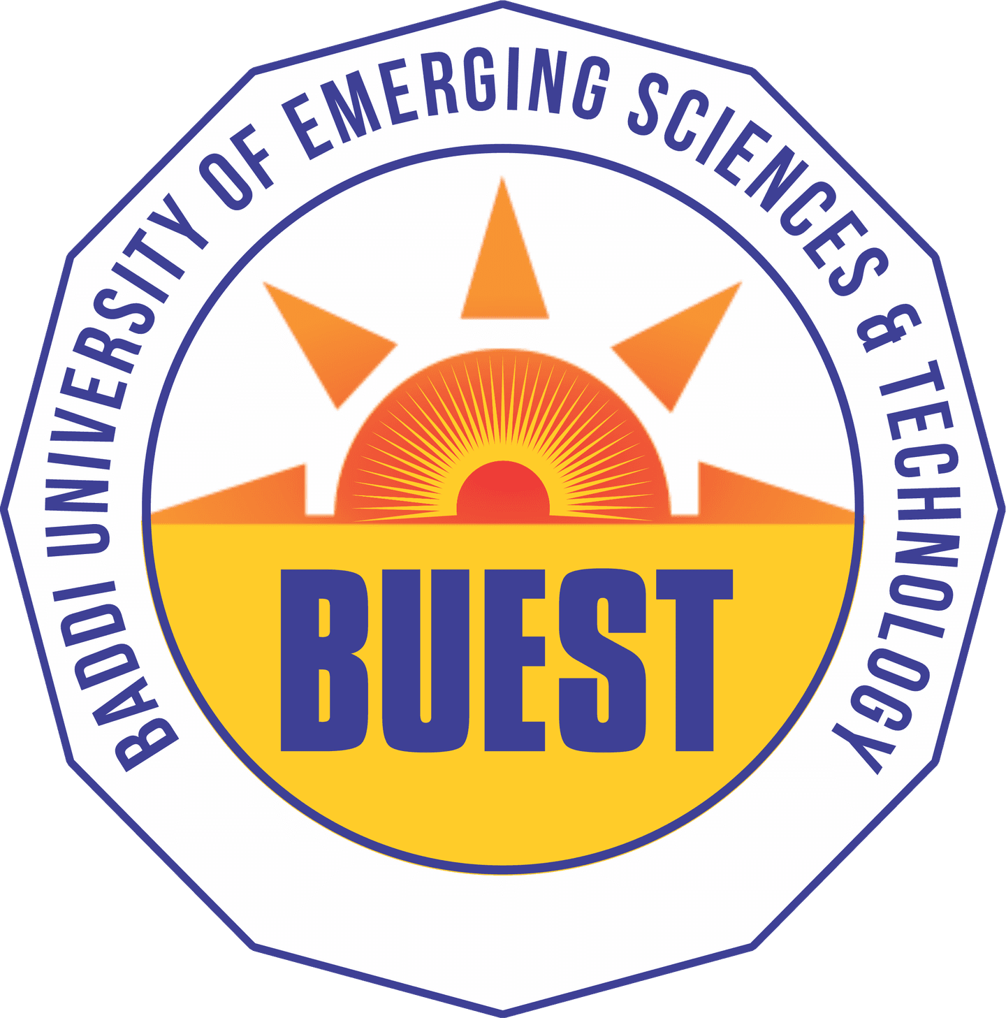 Baddi University of Emerging Sciences and Technologies-logo