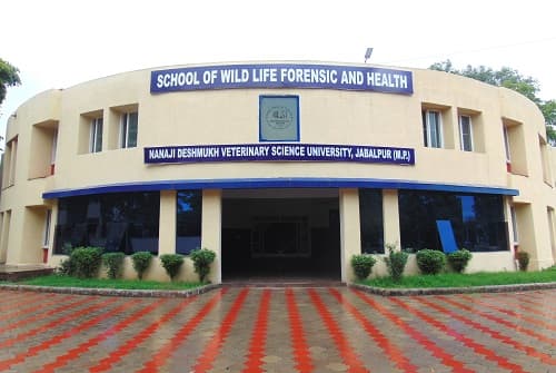 NDVSU-gallery-image-1