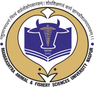 MAFSU-gallery-image-3