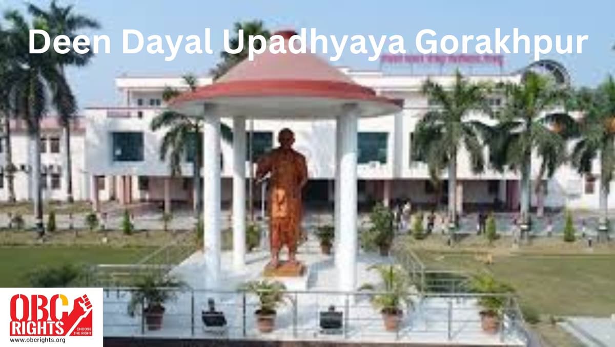 DDUGU-gallery-image-3