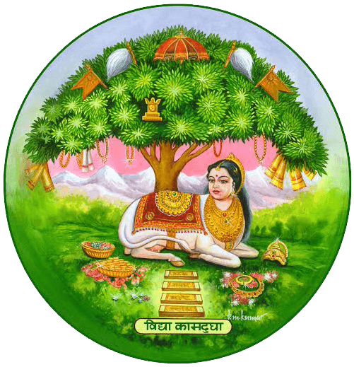 Canara Evening College-logo