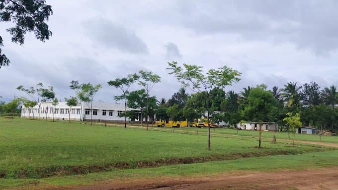 SNS College of Nursing-gallery-image-0