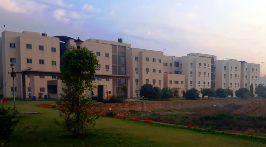 RAFFLES UNIVERSITY-image