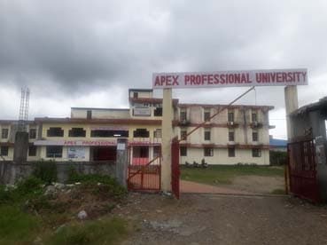 Apex Professional University-image