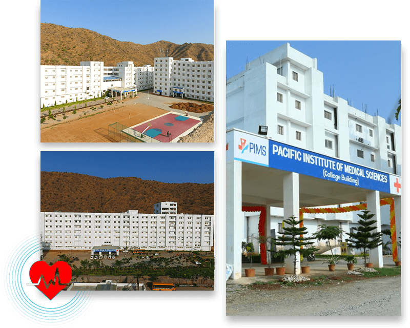 PMU Udaipur-image