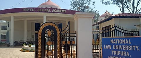 NLUT-gallery-image-0